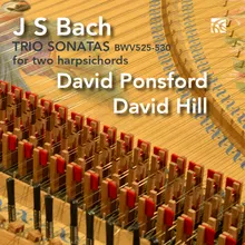 Sonata No. 4 in E Minor BWV 528: II. Andante (arr. David Ponsford)