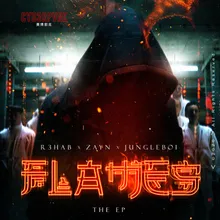 Flames (Steve Aoki Remix)