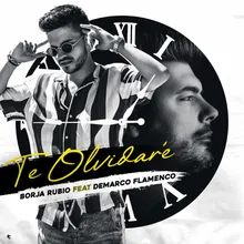 Te Olvidaré (feat. Demarco Flamenco)