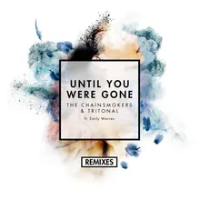 Until You Were Gone