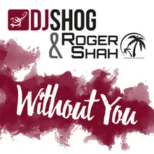 Without You-Roger Shah Mix