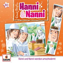 063 - Hanni und Nanni werden umschwärmt-Teil 20