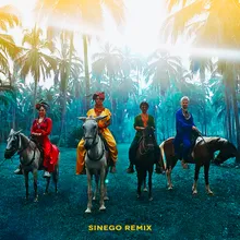 Playa Grande-Sinego Remix