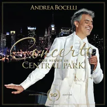 'O sole mio-Live At Central Park, New York / 2011