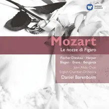 Le Nozze di Figaro, K.492 (1990 - Remaster), Act IV: L'ho perduta me meschina (Barbarina)