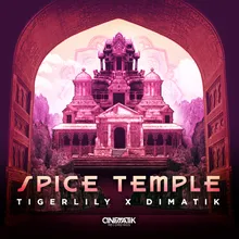 Spice Temple-Overdrive Remix