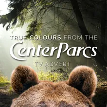 True Colours (From the Center Parcs "Bears" T.V. Advert)