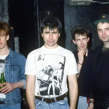 The Chameleons