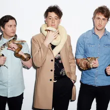 The Wombats