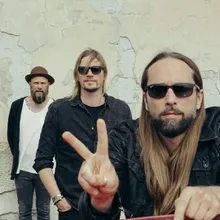 Von Hertzen Brothers