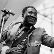 Muddy Waters