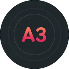 Alt 33