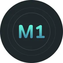 MC 12