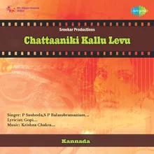 Chattaanik Kallu Levu