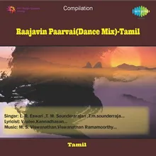 Raajavin Paarvai Remix