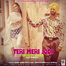 Teri Meri Jodi