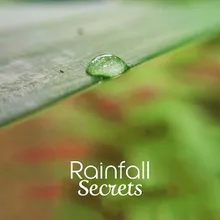 Soothing Rainfall