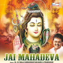 Shivaya Shivashankaraya
