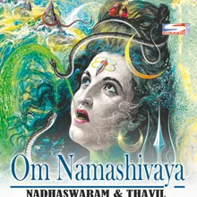 Sadhanandha Thandavam