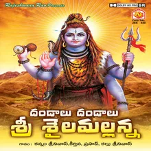 Yekkadavunnavayya