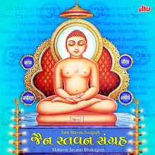 Om Mahavir Swami Namo Namah