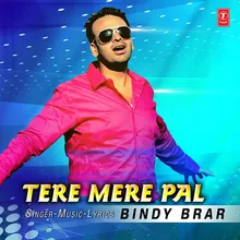 Tere Mere Pal