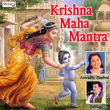 Hare Krishna Hare Krishna, Krishna Krishna Hae Hare