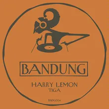 Tiga Harry's Lemon8 Mix