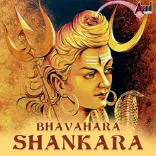 Shiva Shiva Shankara