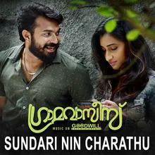 Sundari Nin Charathu