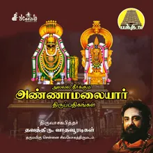 Thiru Ammaanai