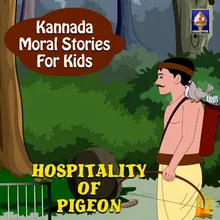 Hospitality Of Pigeon