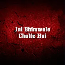 Jai Bhimwale Chalte Hai