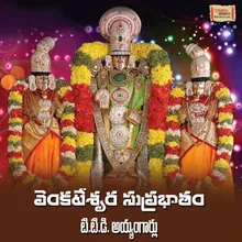 Sri Venkateshwara Gadyam