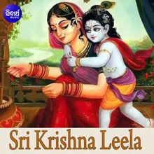 Sri Krishna Leela