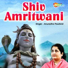 Shiv Amritwani