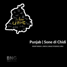 Punjab Sone Di Chidi