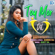 Toy Mor Dil