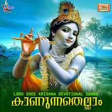 Kaanunnathellam Madhava