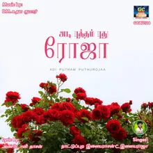 Ithana Nall Engiruntha  Instrumental