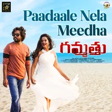 Paadaale Nela Meedha