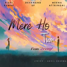 Mere Ho Tum - Instrumental