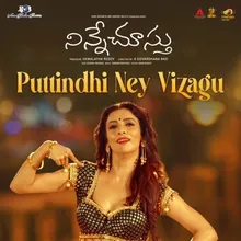 Puttindhi Ney Vizagu