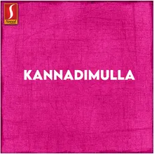 Kannadimulle