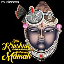 Krishna Dhun - Shri Krushna Sharanam Mamah