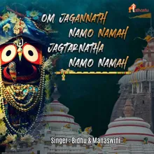 Om Jagannath Namo Namah Jagtar Natha Namo Namah