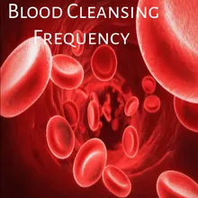 Blood Cleansing Frequency Track 3