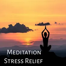 Meditation Stress Relief Track 4