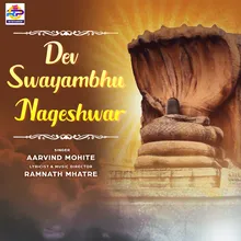 Dev Swayambhu Nageshwar