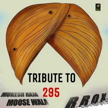 TRIBUTE TO 295